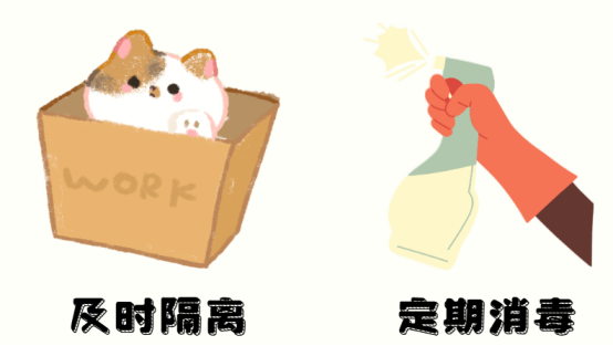 猫癣用什么药效果好