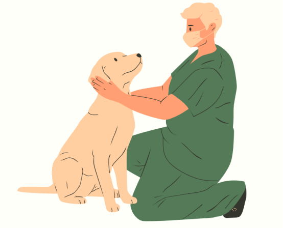 狗狗感冒吃什么药？