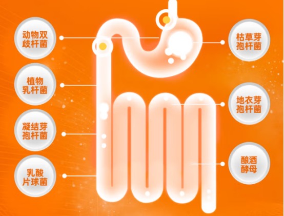 狗狗拉稀吃什么药?