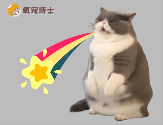猫咪吐黄水有泡沫没有精神吃什么药?