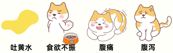 猫咪吐黄水有泡沫没有精神怎么办?