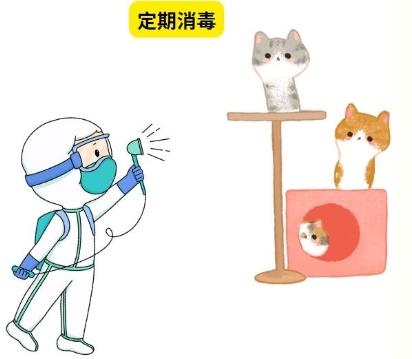 猫咪集体呕吐拉稀怎么办?