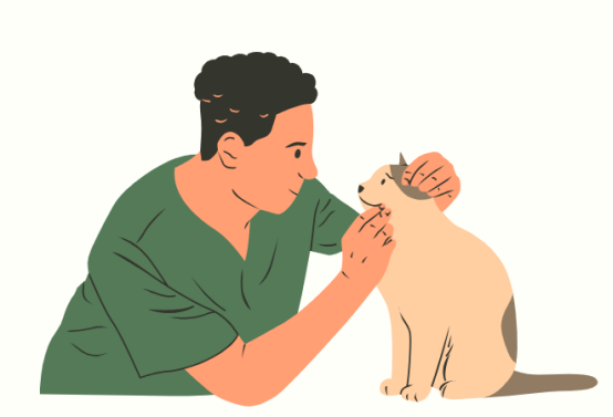 猫咪眼睛流泪有分泌物怎么办？