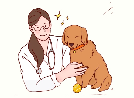 狗狗脚趾炎用药步骤