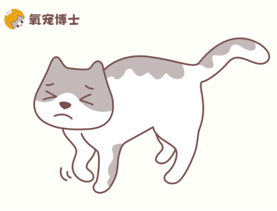 怎么判断猫咪是骨折还是扭伤