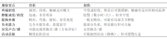 猫咪骨折和扭伤的区别