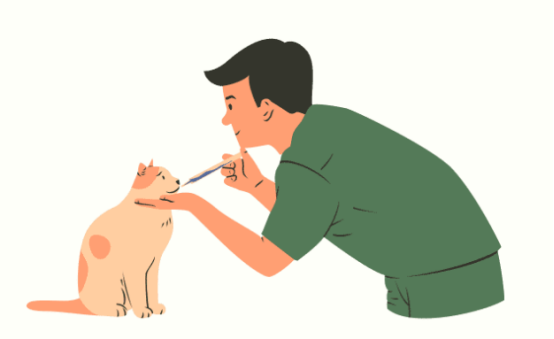 猫咪骨折怎么办？