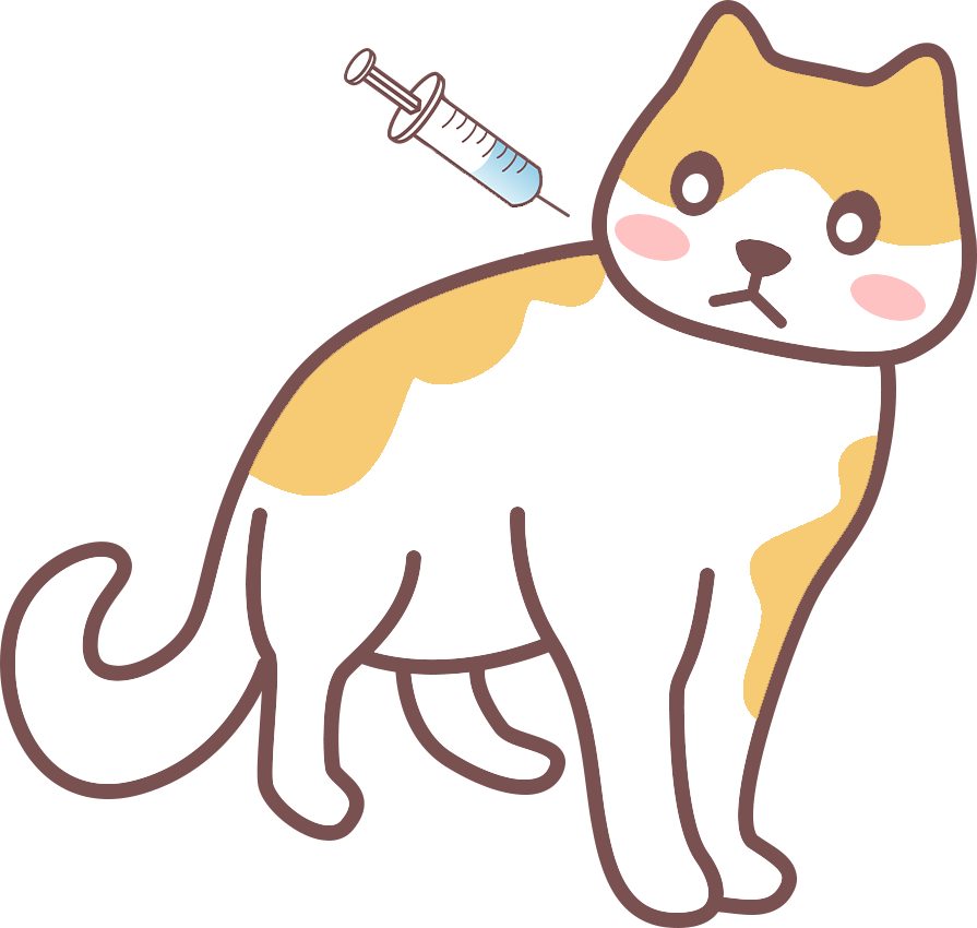 猫咪便血怎么办？