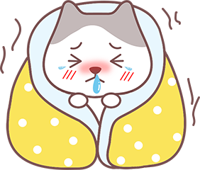 猫感冒