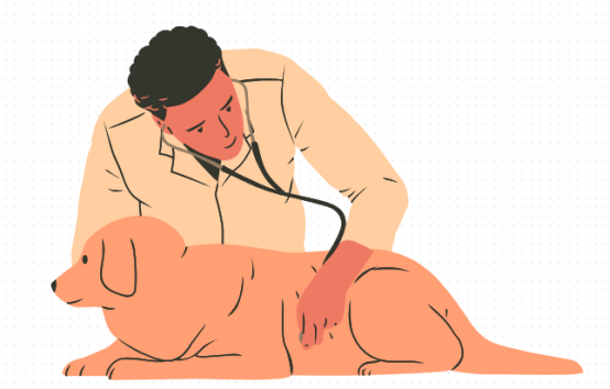 狗狗髌骨脱位检查