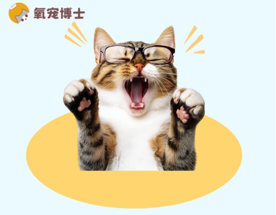 猫咪嗓子哑了是感冒症状吗？