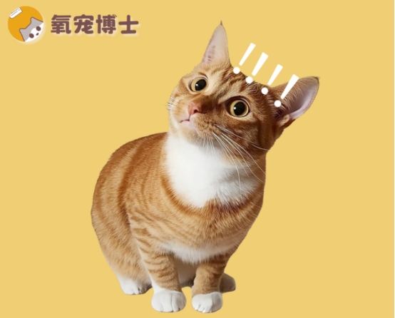 猫咪感冒一般会自愈吗？