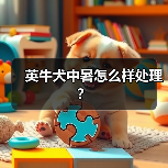 英牛犬中暑怎么样处理？（图1）