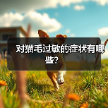 对猫毛过敏的症状有哪些？（图1）