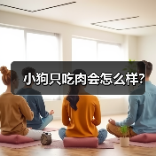 小狗只吃肉会怎么样？（图4）