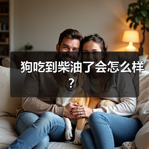 狗吃到柴油了会怎么样？（图4）