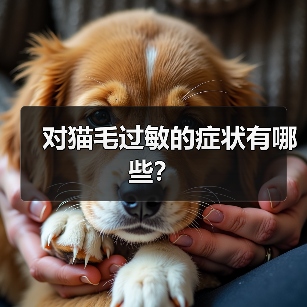 对猫毛过敏的症状有哪些？（图3）