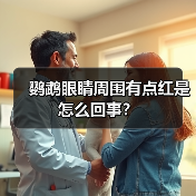 鹦鹉眼睛周围有点红是怎么回事？（图1）