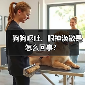狗狗呕吐、眼神涣散是怎么回事？（图1）