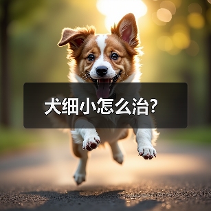 犬细小怎么治？（图2）