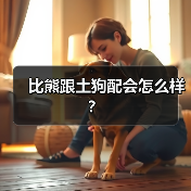 比熊跟土狗配会怎么样？（图4）