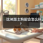 比熊跟土狗配会怎么样？（图1）