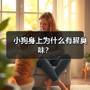 小狗身上为什么有腥臭味？（图4）