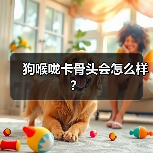 狗喉咙卡骨头会怎么样？（图1）