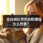 金丝熊拉黄色的软便是怎么回事？（图1）