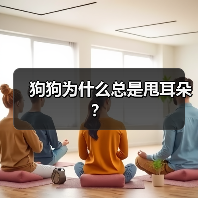 狗狗为什么总是甩耳朵？（图4）