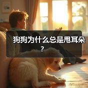 狗狗为什么总是甩耳朵？（图2）