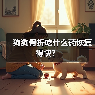 狗狗骨折吃什么药恢复得快？（图3）