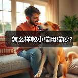 怎么样教小猫用猫砂？（图4）