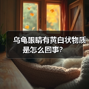 乌龟眼睛有黄白状物质是怎么回事？（图4）