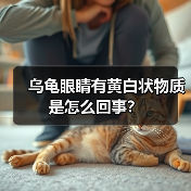 乌龟眼睛有黄白状物质是怎么回事？（图3）