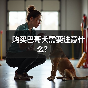 购买巴哥犬需要注意什么？（图3）