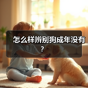 怎么样辨别狗成年没有？（图3）