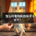 怎么样看狗狗的鼻子干不干？（图2）
