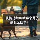 狗狗持续呕吐半个月了是怎么回事？（图1）
