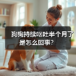 狗狗持续呕吐半个月了是怎么回事？（图3）