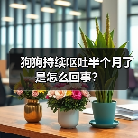 狗狗持续呕吐半个月了是怎么回事？（图4）