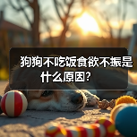 狗狗不吃饭食欲不振是什么原因？（图4）