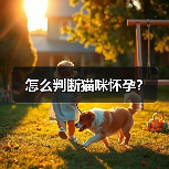 怎么判断猫咪怀孕？（图2）