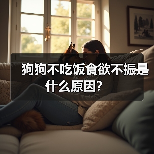 狗狗不吃饭食欲不振是什么原因？（图2）