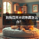 狗狗四天不吃东西怎么办？（图4）