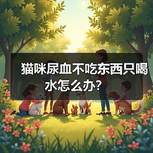 猫咪尿血不吃东西只喝水怎么办？（图1）