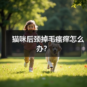 猫咪后颈掉毛瘙痒怎么办？（图2）