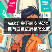猫咪乳房下面皮肤泛红且有白色皮屑是怎么回事？（图1）