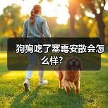 狗狗吃了塞霉安散会怎么样？（图1）