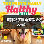 狗狗吃了塞霉安散会怎么样？（图4）